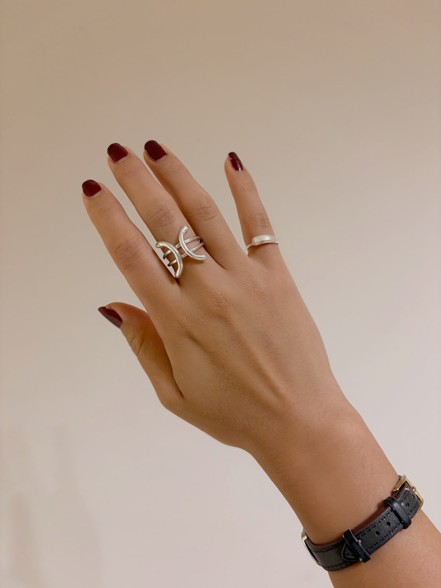 zodiac ring -Pisces