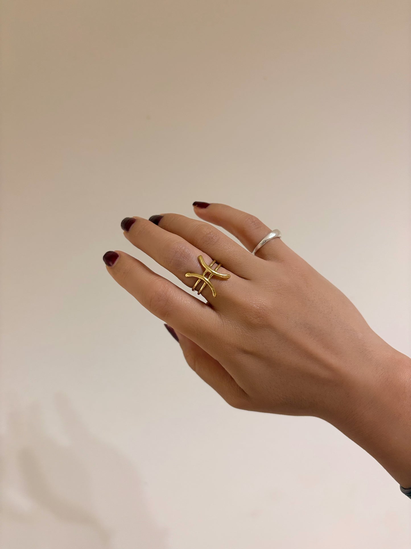 zodiac ring -Pisces